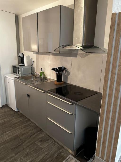 דירות Bourgoin-Jallieu Le Cosy'Ppart - Easylife מראה חיצוני תמונה